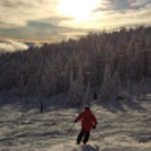 Meet your Posher, Maggie